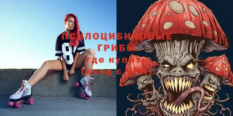 Галлюциногенные грибы Psilocybe  OMG ТОР  Аксай 